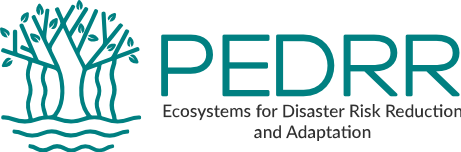 PEDRR logo
