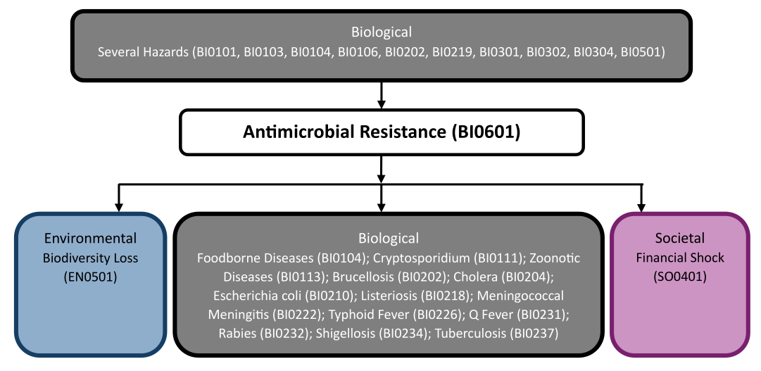 Hazard diagram for antimicrobial resistance