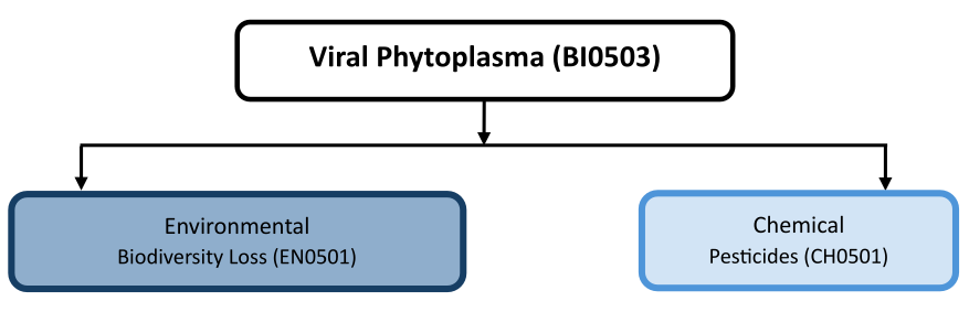 Hazard diagram for viral phytoplasm
