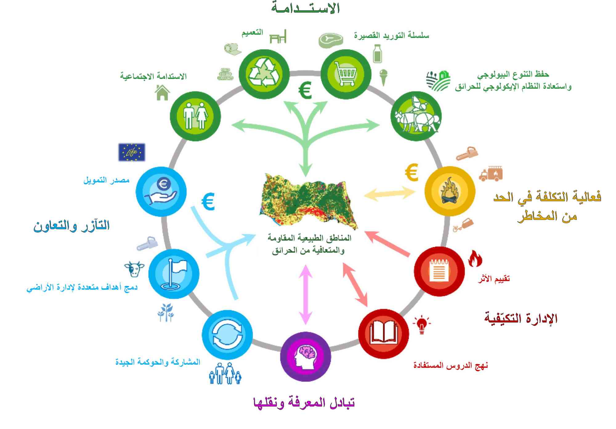 رسم توضيحي يبيّن الفوائد المشتركة للحد من مخاطر الكوارث: الاستدامة، أوجه التآزر والتعاون، الإدارة التكيفية، تبادل المعرفة ونقلها.
