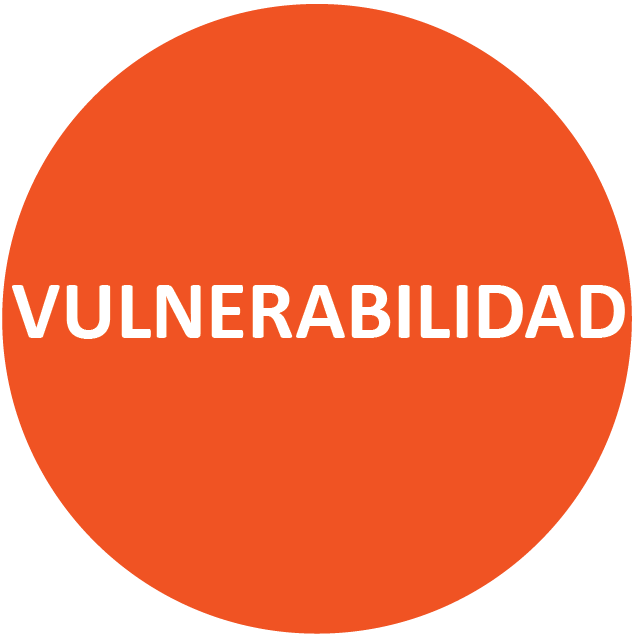 Vulnerabilidad