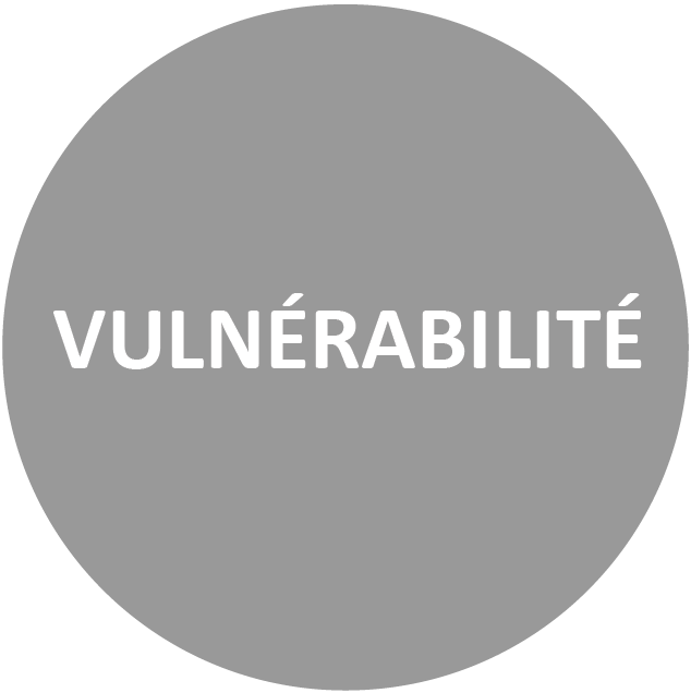 Vulnérabilité