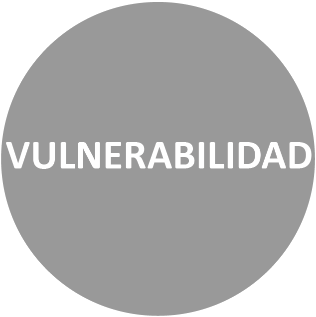 Vulnerabilidad