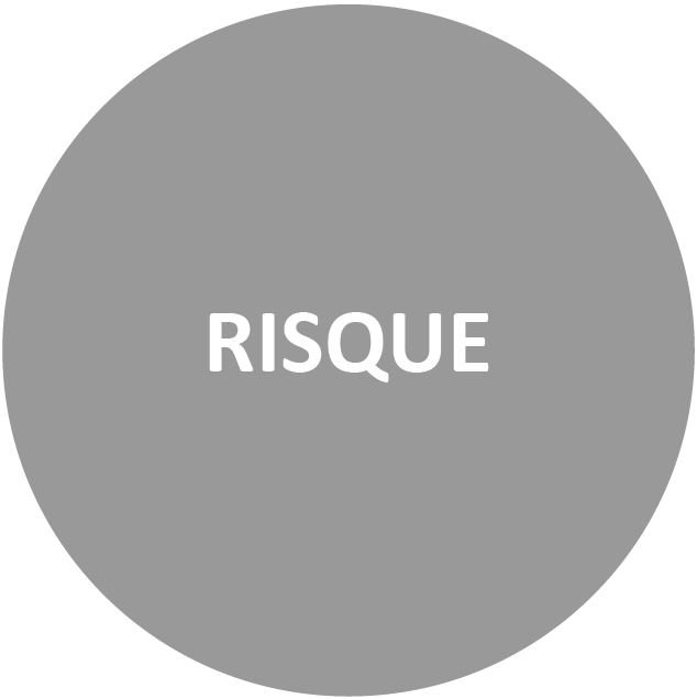 Risque