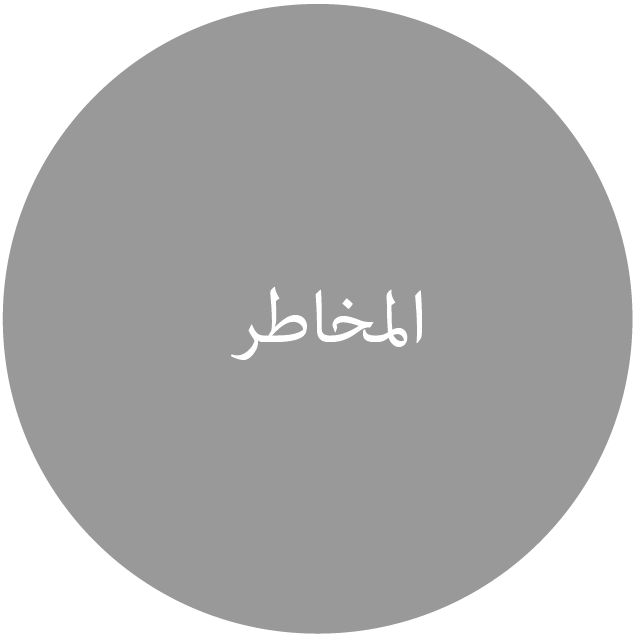 المخاطر
