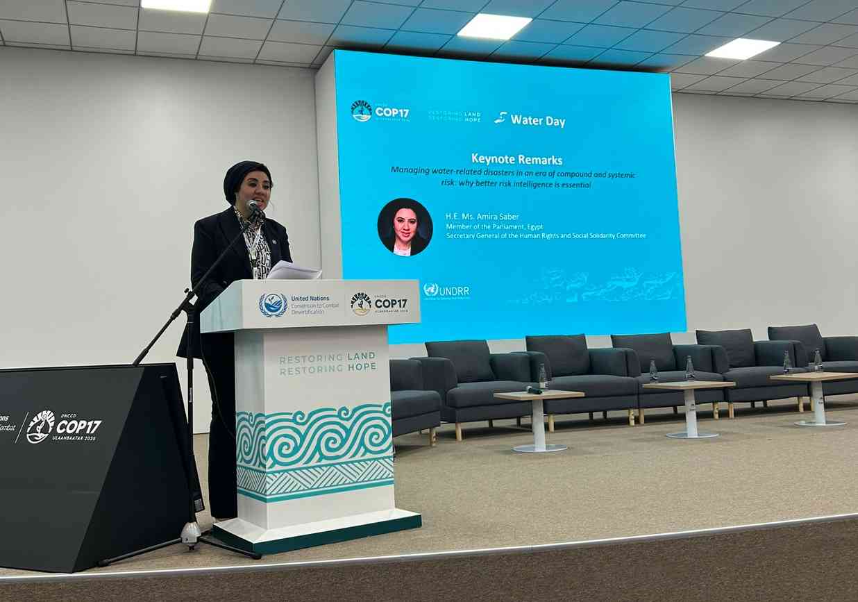 H.E. Amira Saber, Member of the Egyptian Senate