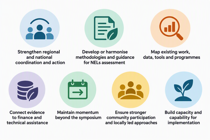Graphic summarizing priority actions from the Pacific Symposium on Non-Economic Losses (NELs). Recommendations focus on strengthening capacity, improving evidence and data, enhancing coordination and policy coherence, increasing participation of Indigenous Peoples and local communities, and expanding access to finance and technical assistance to address climate-related non-economic losses across the Pacific.