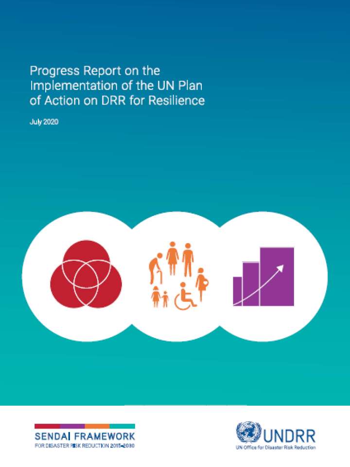 Cover image for Progress report on UN Plan of Action on DRR for Resilience