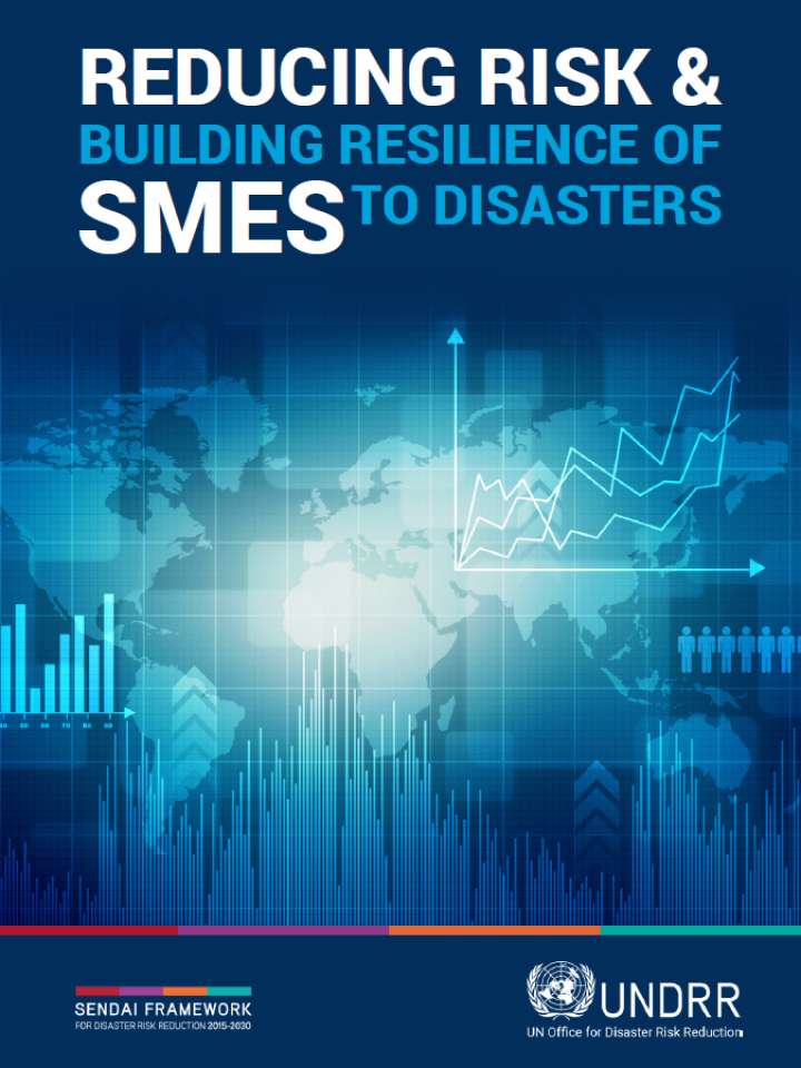 Cover image of Reducing Risk and Building Resilience of SMEs to Disasters