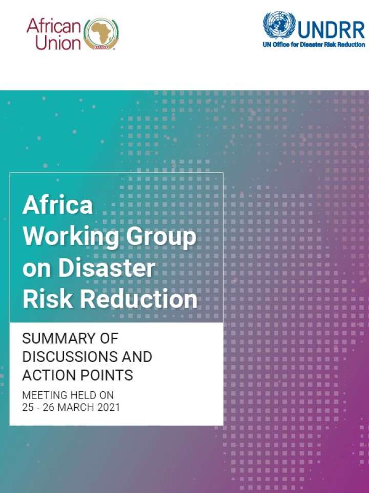 3rd Virtual African Working Group on DRR