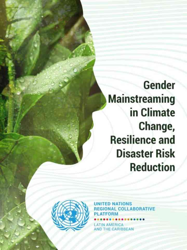 IBC Gender mainstreaming in climate change, resilience and DRR