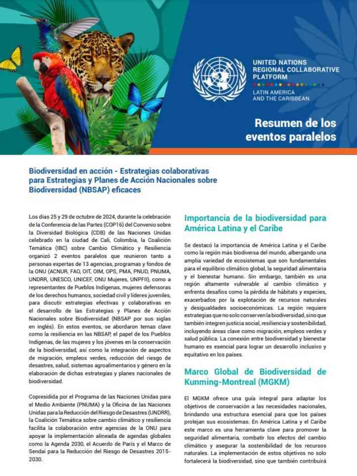 Biodiversidad en acción - Estrategias colaborativas para Estrategias y Planes de Acción Nacionales sobre Biodiversidad (NBSAP) eficaces