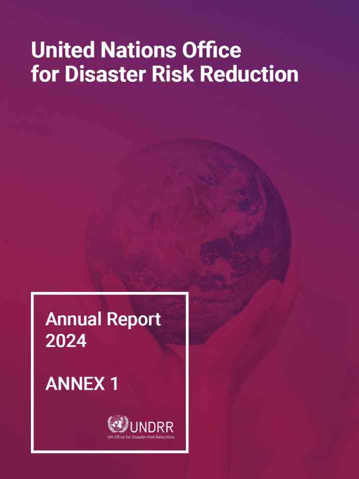 UNDRR Annual Report Annex I - Progress Against Output Indicators (cover)