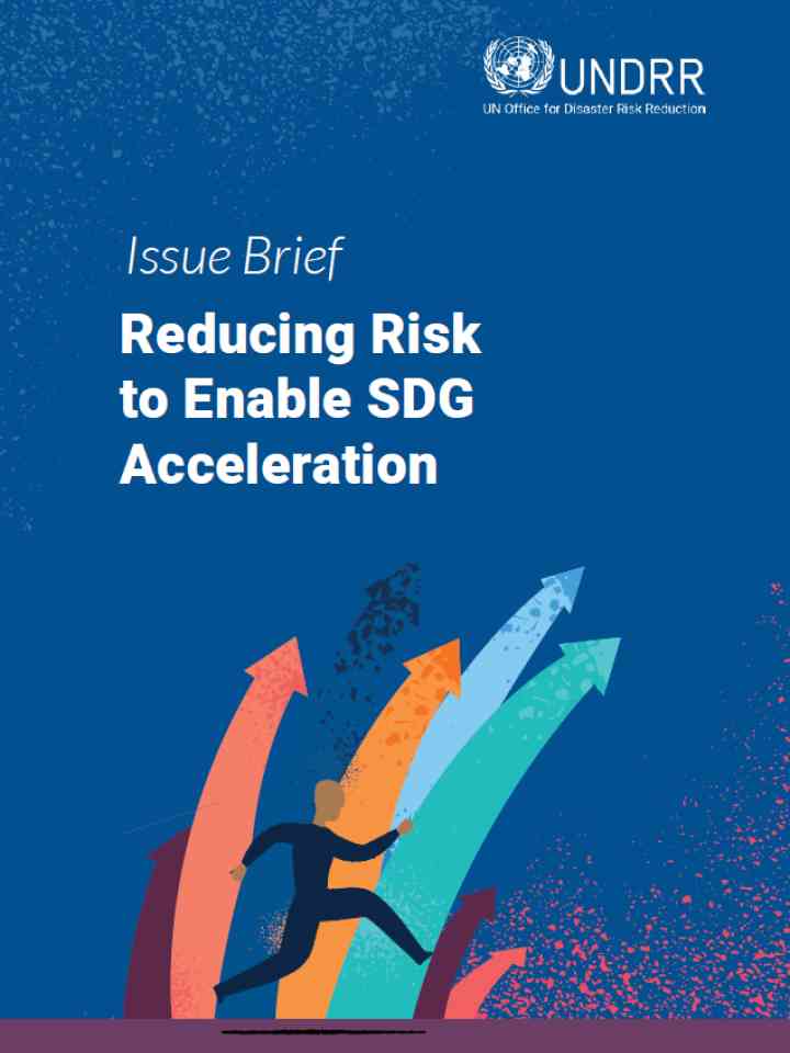 Reducing Risk to Enable SDG Acceleration