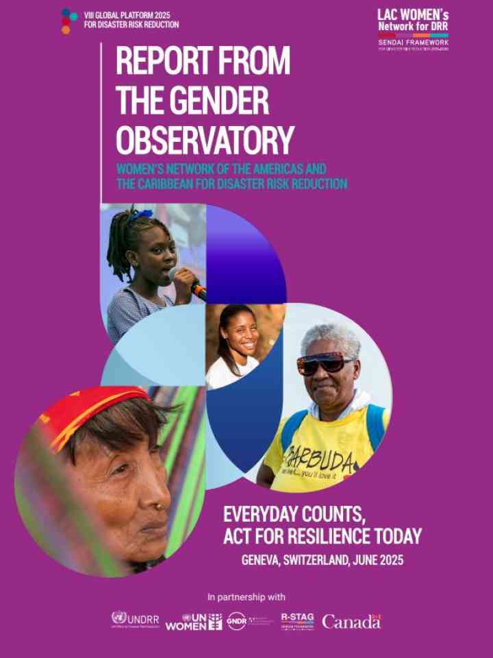 Gender observatory report