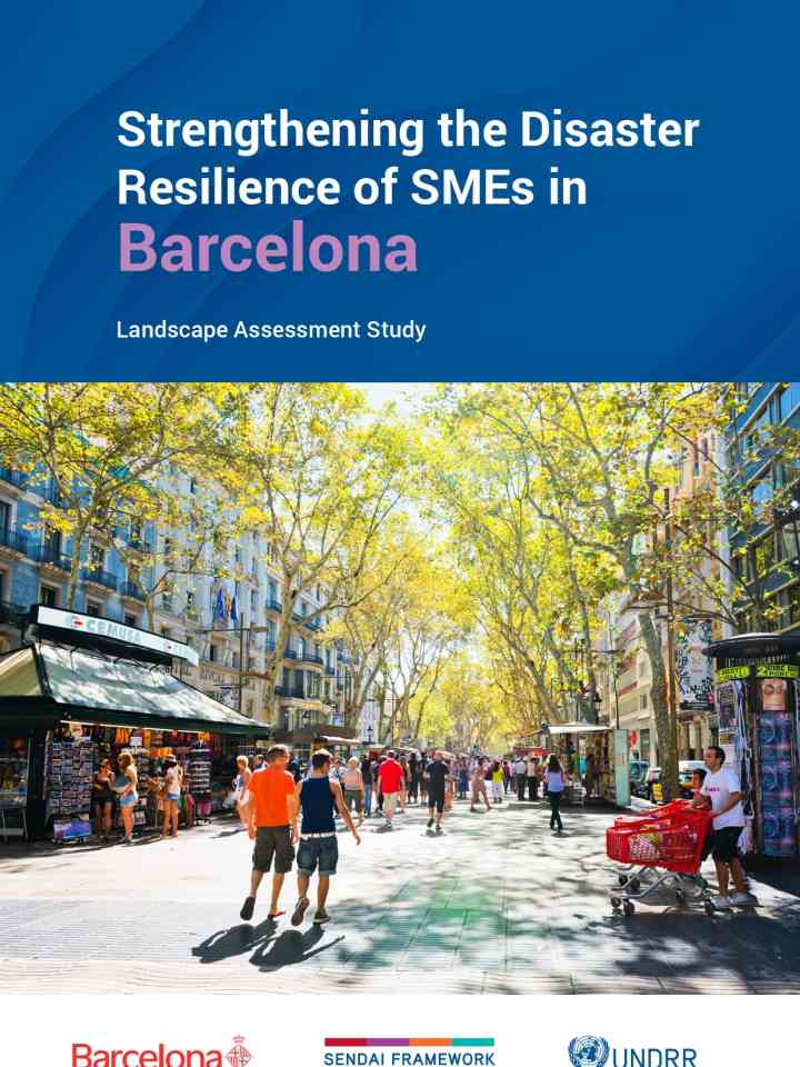 Strengthening the disaster resilience of SMEs in Barcelona landscape assessment study thumbnail