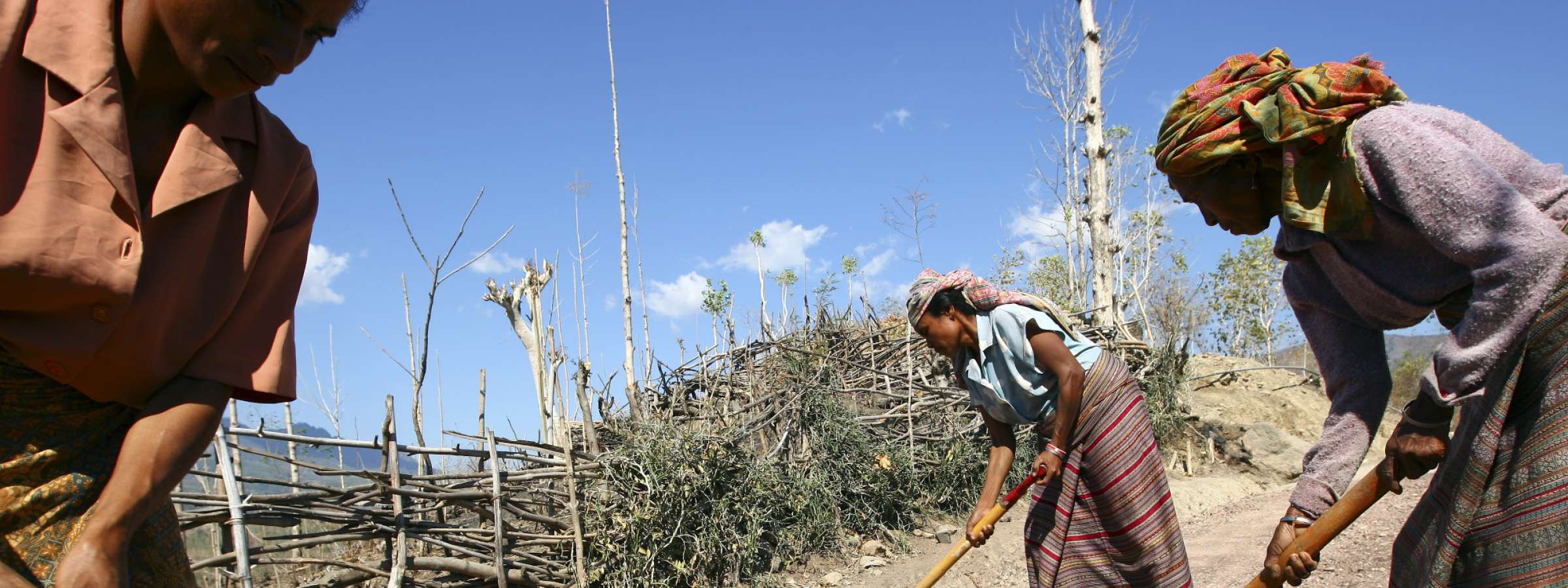 Timorese women working
