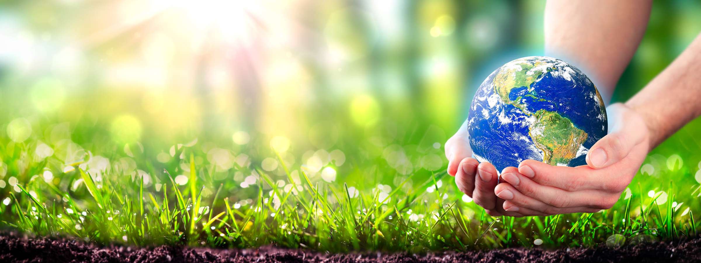 Hands Holding Planet Earth In Lush Green Environment With Soil And Sunlight