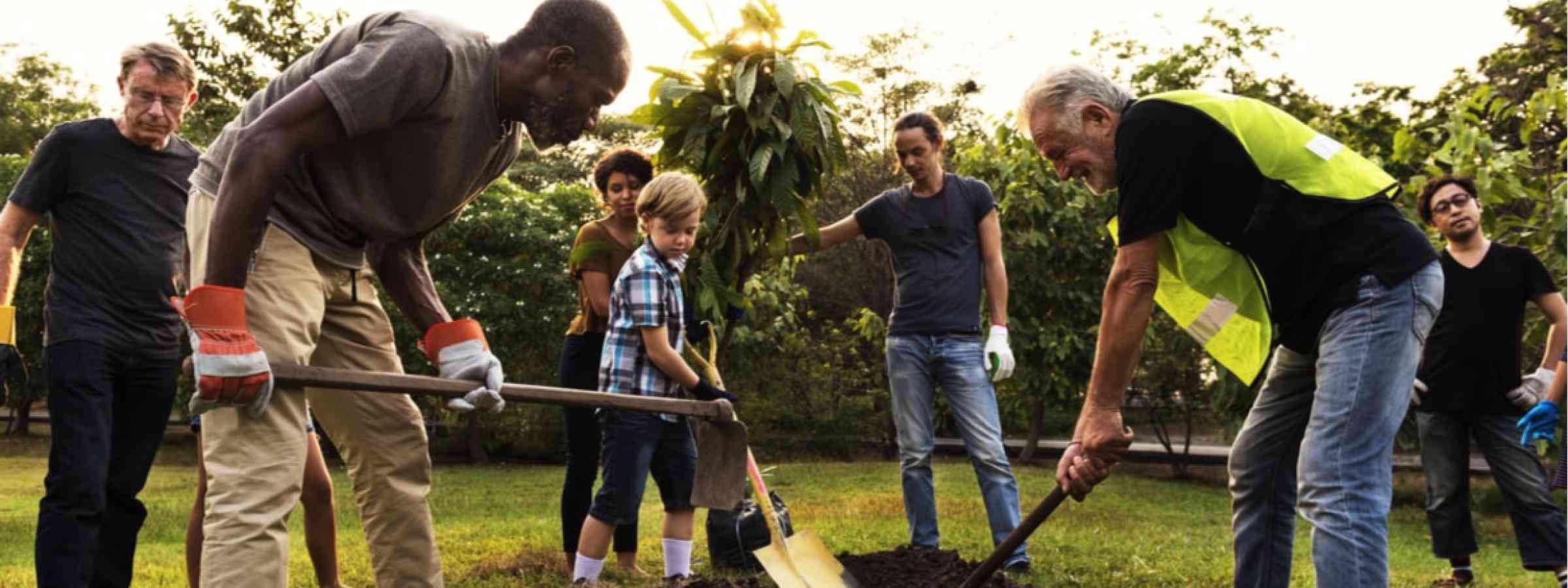 People of different race, age and ethnicities shoveling a hole together in a green space.
