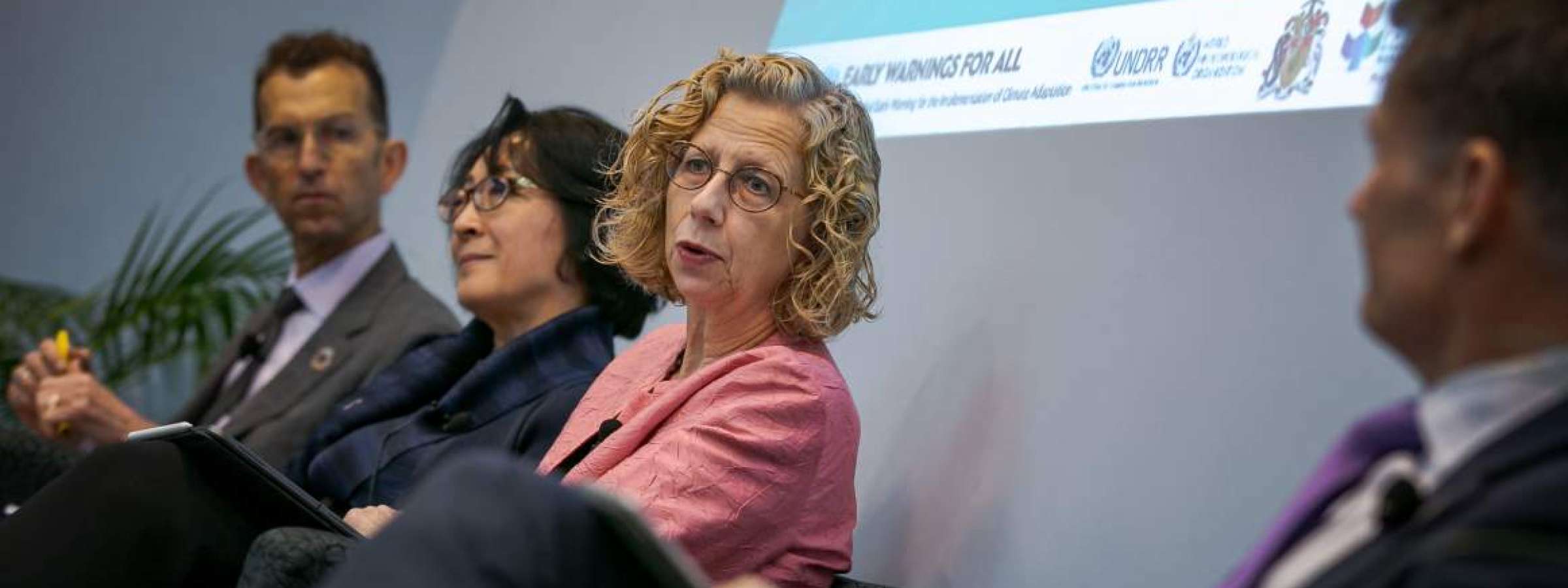 Inger Andersen, UNEP