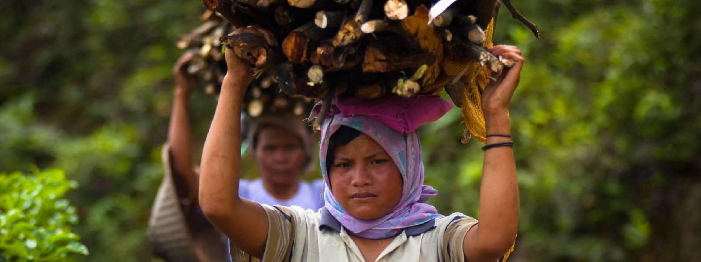Villagers collecting wood, Java, Indonesia