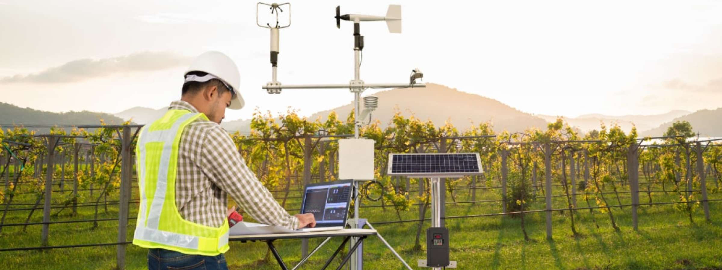 An agronomist using a tablet computer collecting data with meteorological instrument to measure the wind speed, temperature and humidity and solar cell system in grape agricultural field.