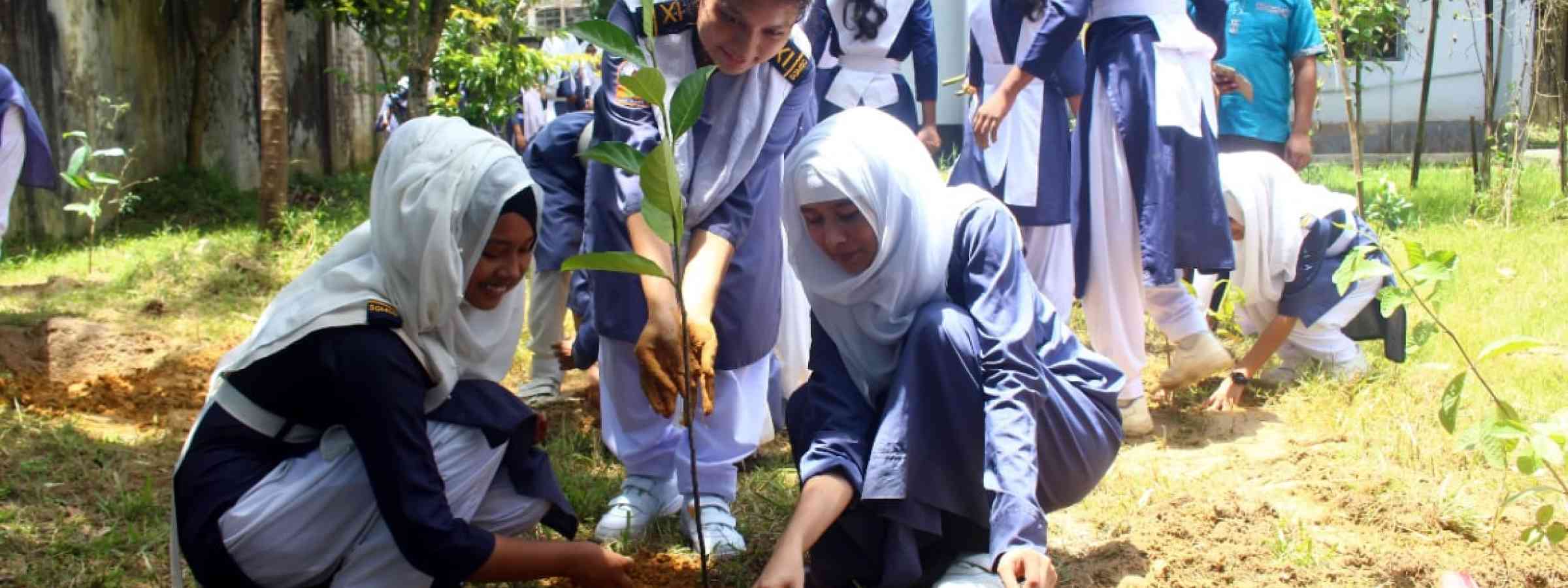 Students plant trees in Sylhet, Bangladesh Students are shown planting trees in a school in Sylhet, Bangladesh.