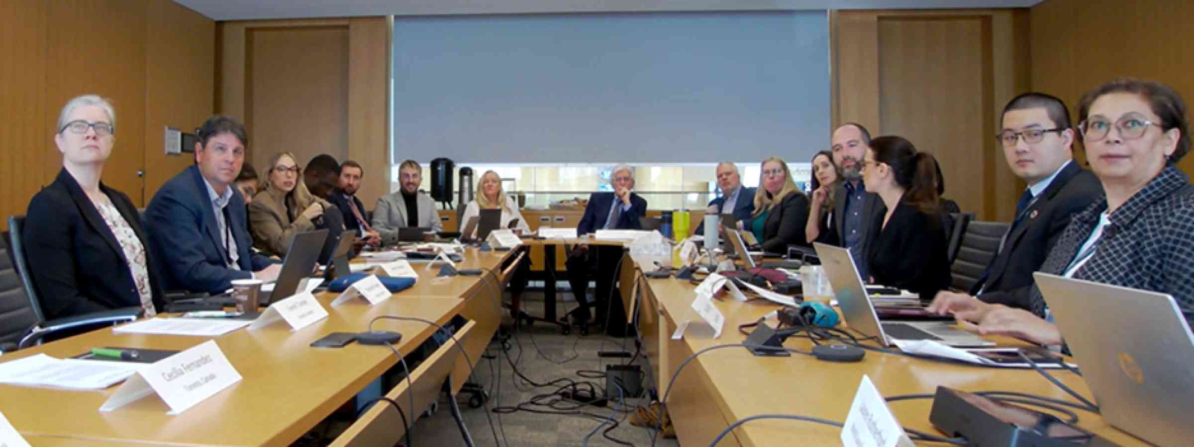 working photo from UNDRR-WCCD workshop in Vaughan Canada