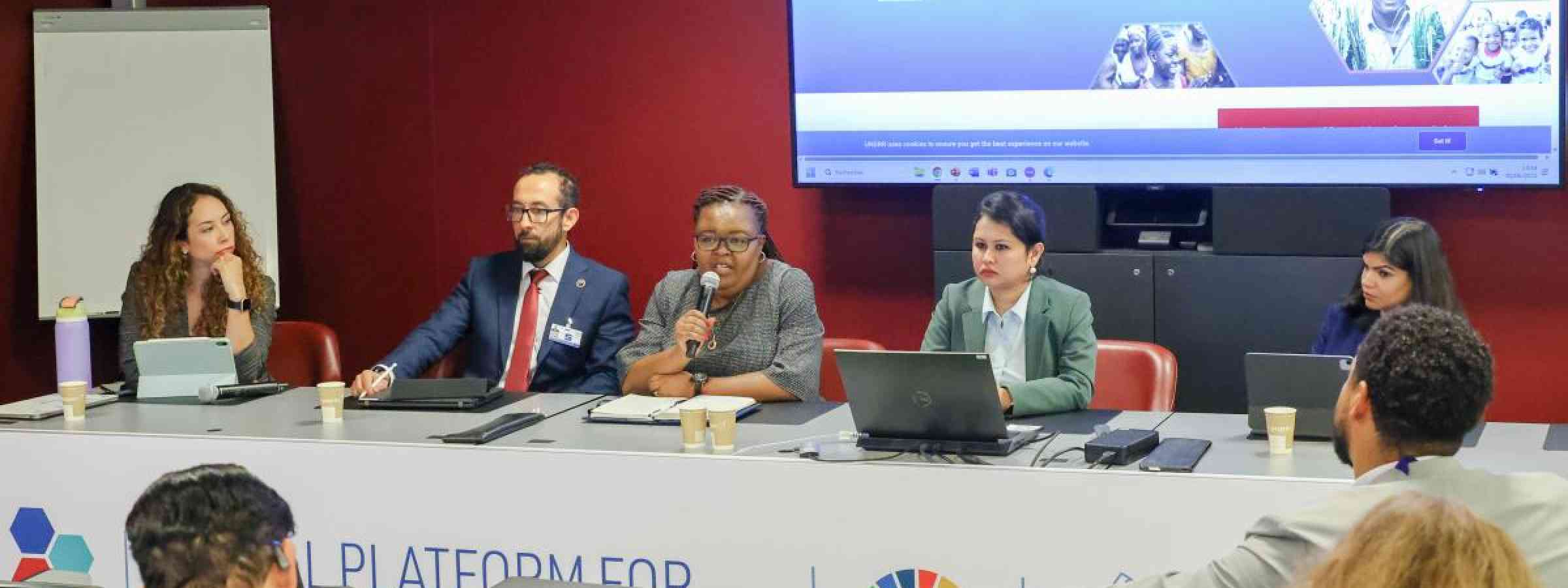 View of the panel during the “Innovative Financing and Private Sector Leadership in DRR” event