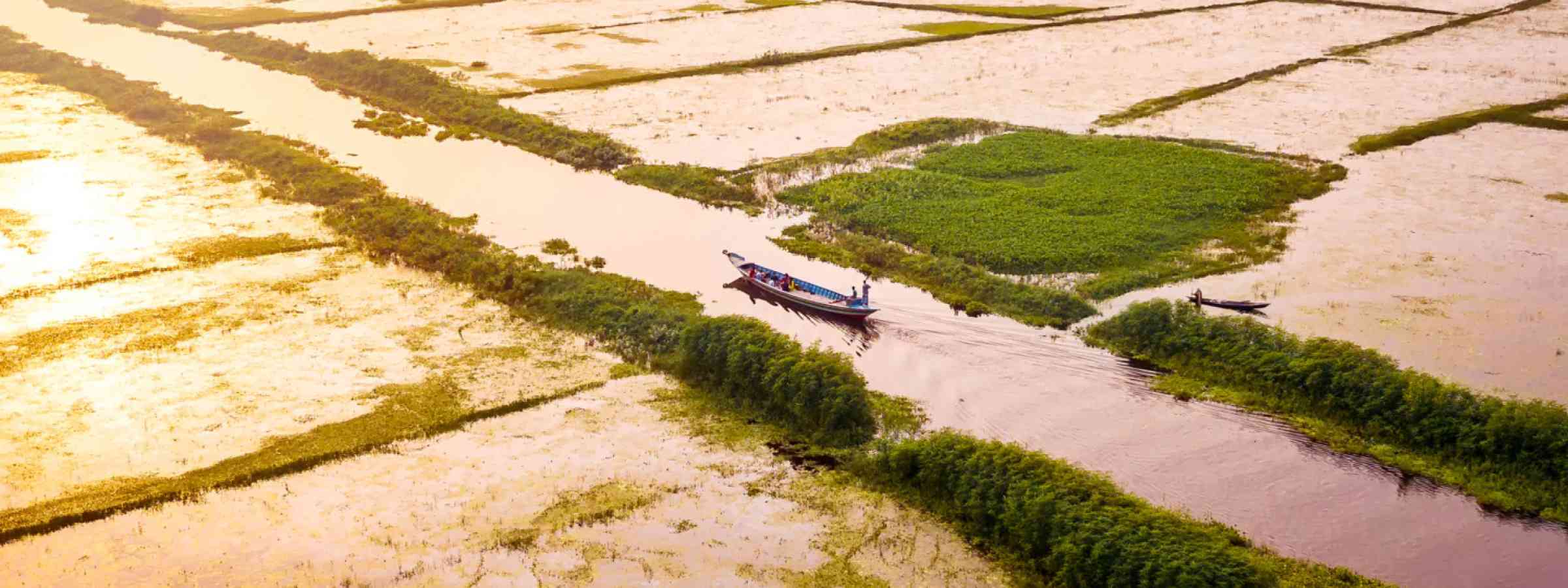 Aerial photo of boats in Arial Beel, Dhaka, Bangladesh Aerial photo of boats in Arial Beel, Dhaka, Bangladesh