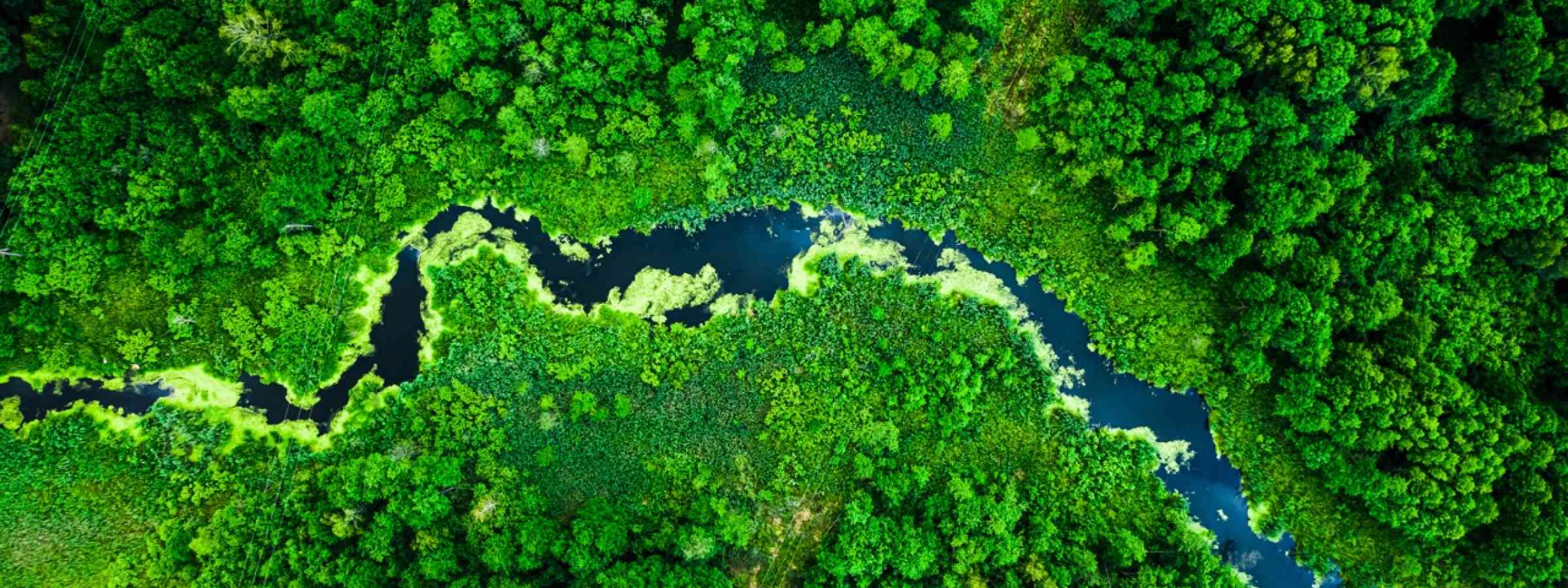 blooming algae on green river, aerial view 